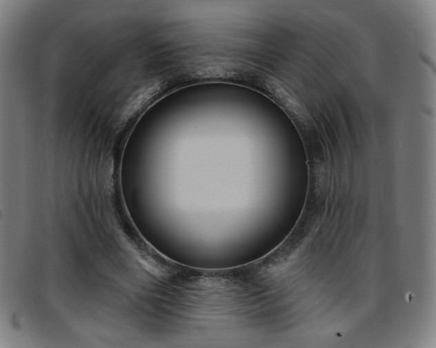 X0000097650490200803071513