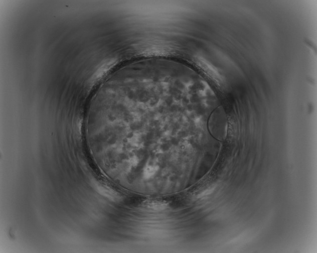 X0000097650491200803071513