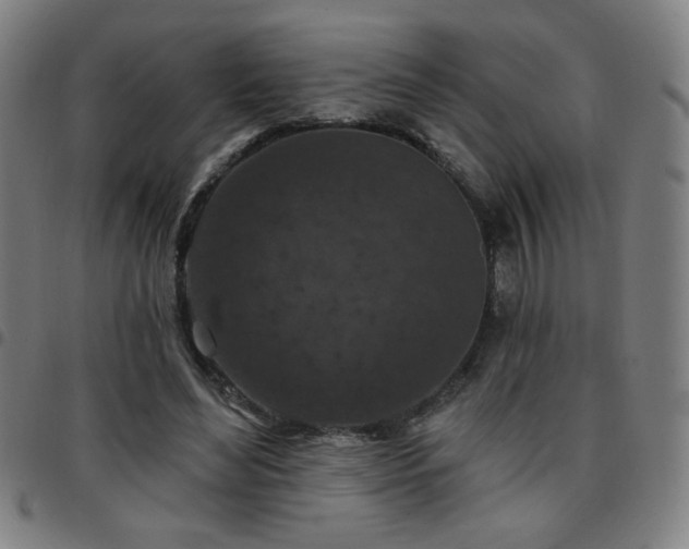 X0000097650492200803071513