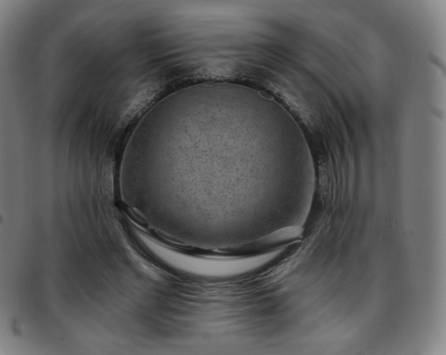 X0000097650493200803071513