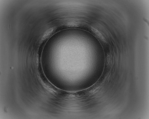 X0000097650494200803071513