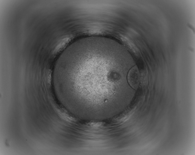 X0000097650495200803071513