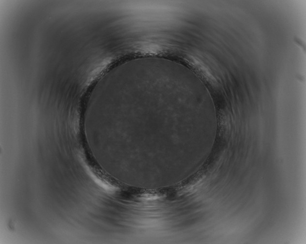 X0000097650496200803071513