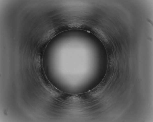 X0000097650498200803071512