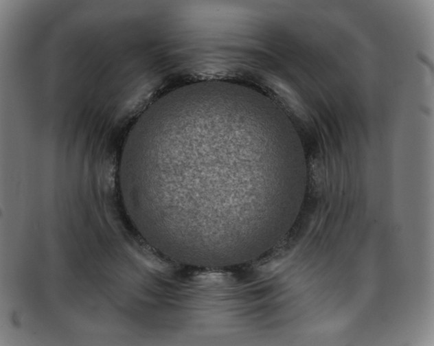 X0000097650499200803071512