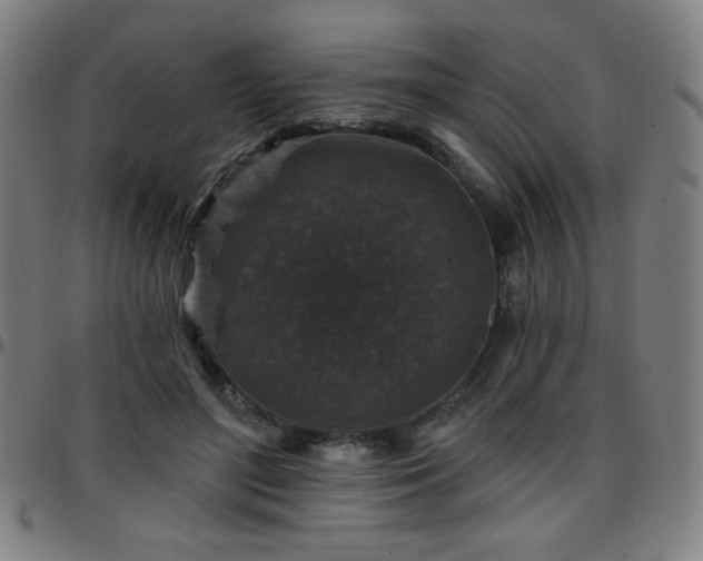 X0000097650500200803071512