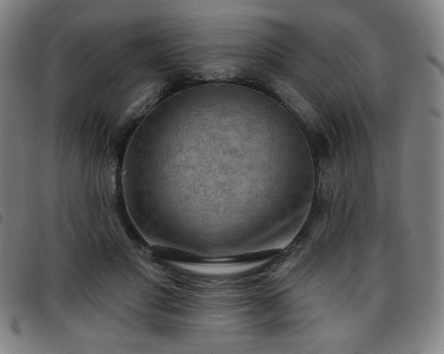 X0000097650501200803071512