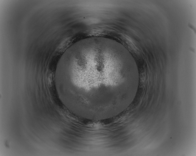 X0000097650503200803071512