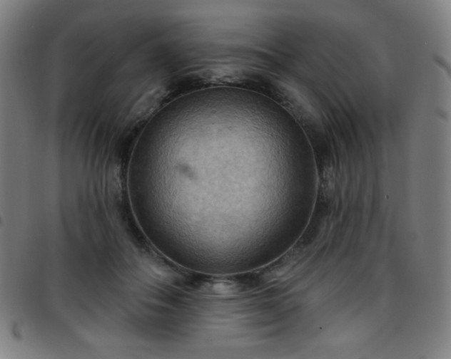 X0000097650506200803071512