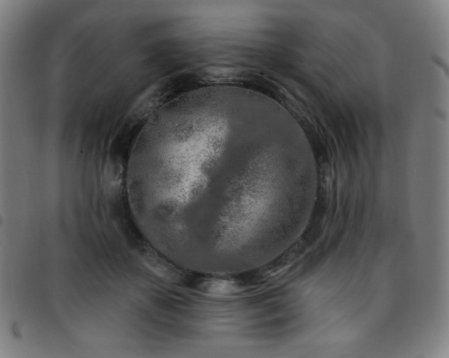 X0000097650507200803071512