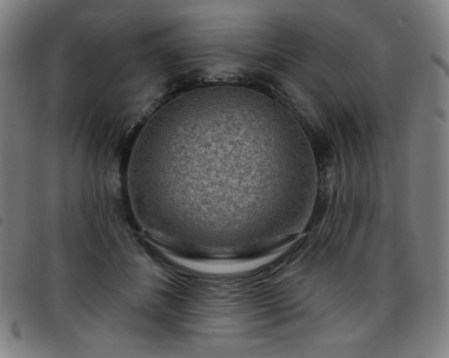 X0000097650508200803071512