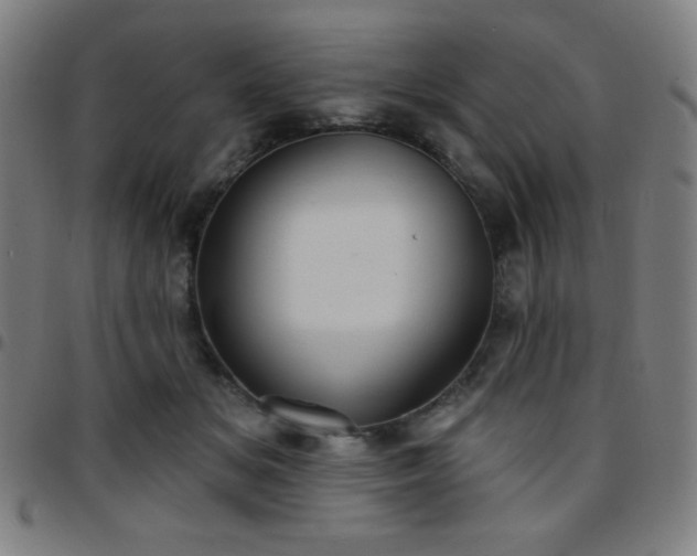 X0000097650509200803071512