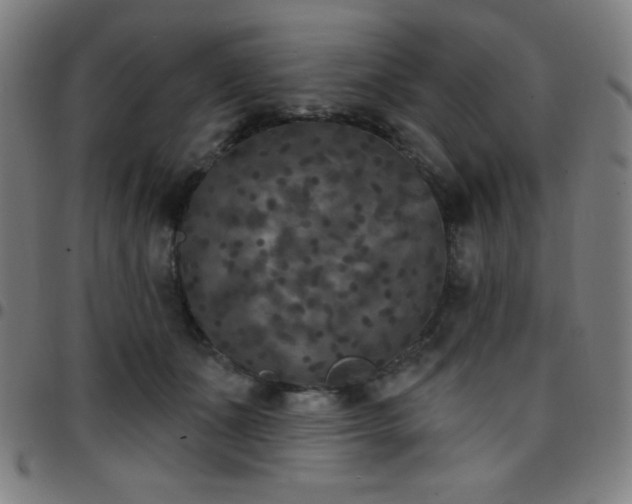 X0000097650511200803071512