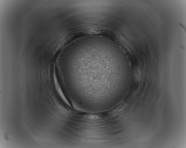 X0000097650512200803071512