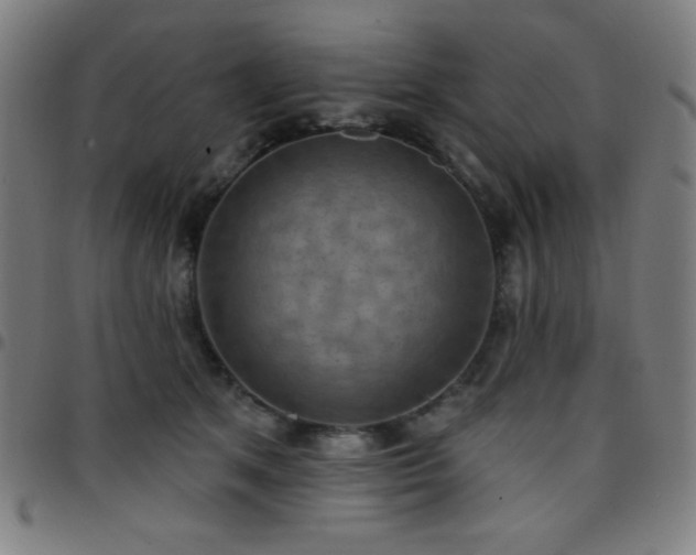 X0000097650513200803071512