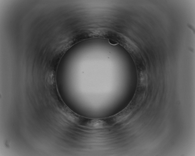 X0000097650514200803071512