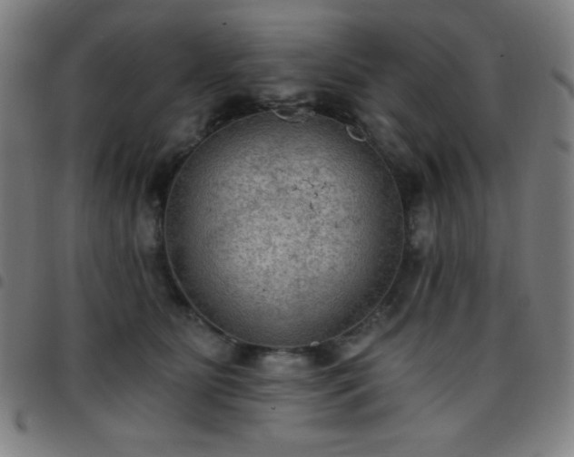 X0000097650515200803071512