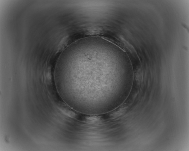 X0000097650516200803071512