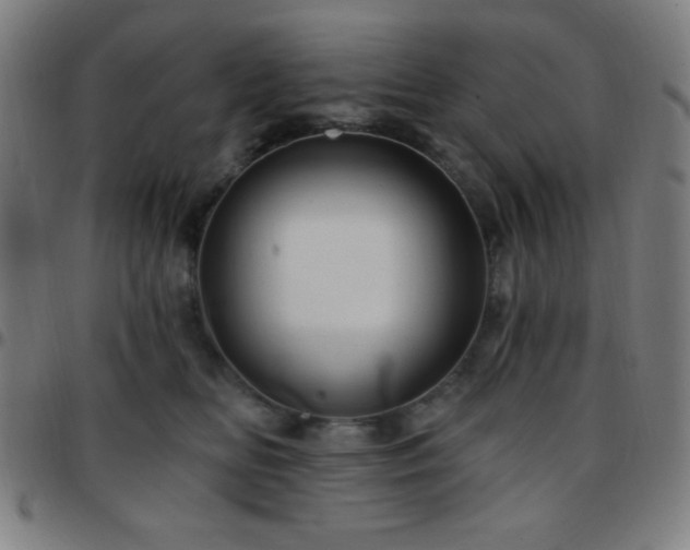 X0000097650518200803071512