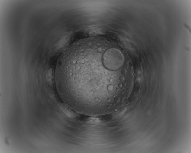 X0000097650519200803071512