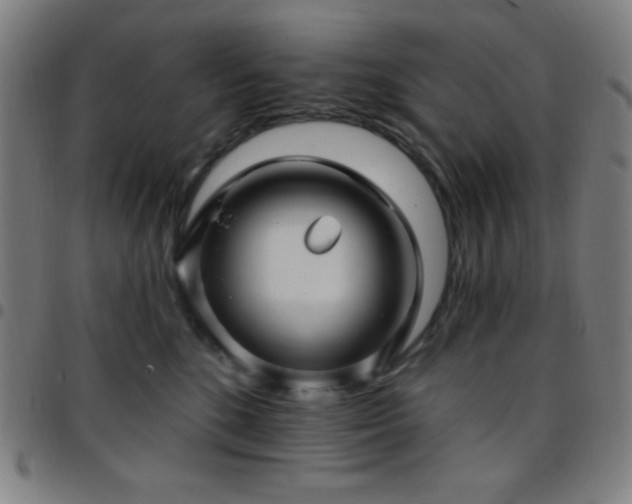 X0000097650520200803071512