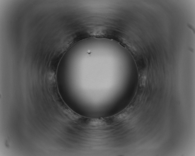 X0000097650521200803071512