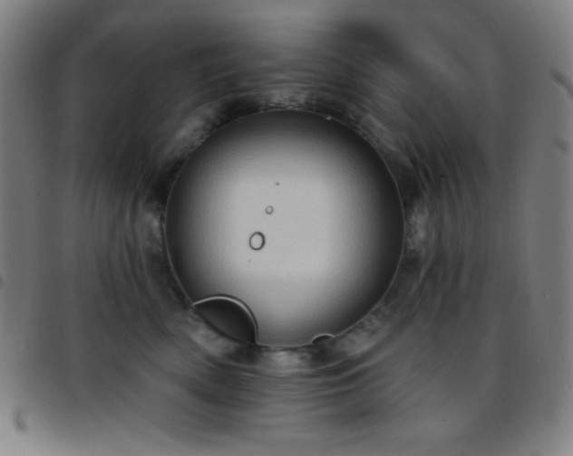 X0000097650522200803071512