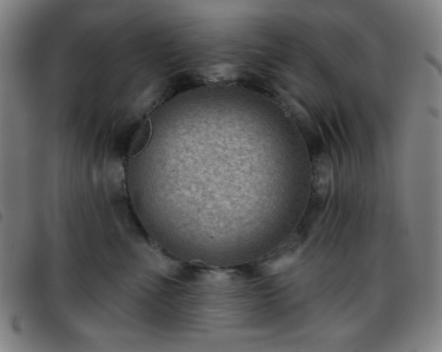 X0000097650523200803071512