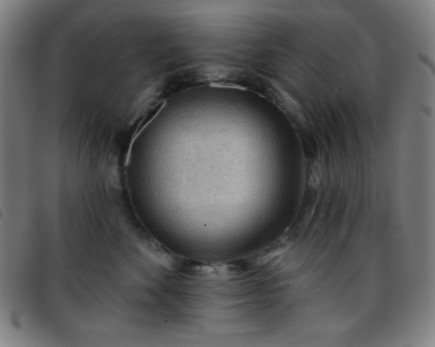 X0000097650524200803071512