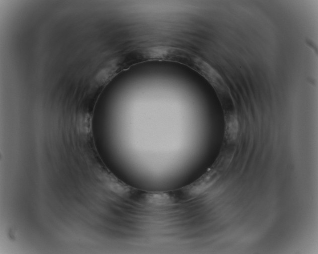 X0000097650525200803071512