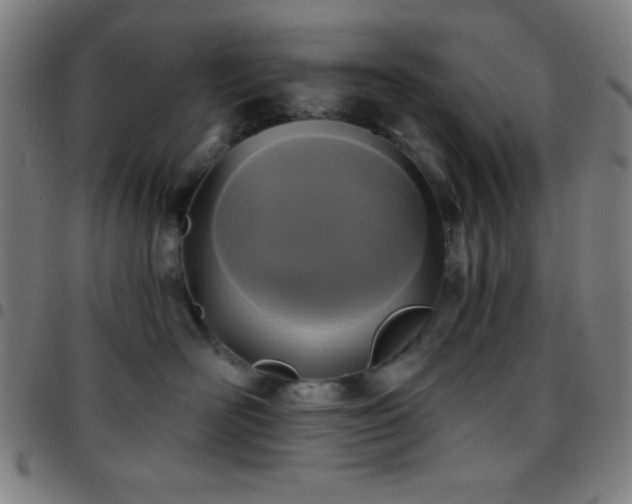 X0000097650526200803071512