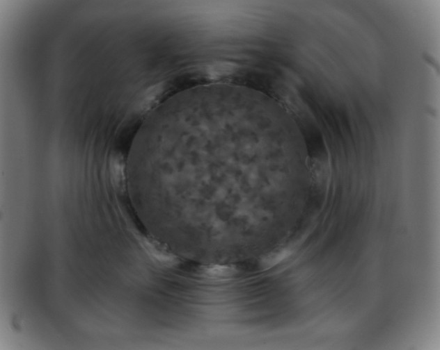 X0000097650527200803071512