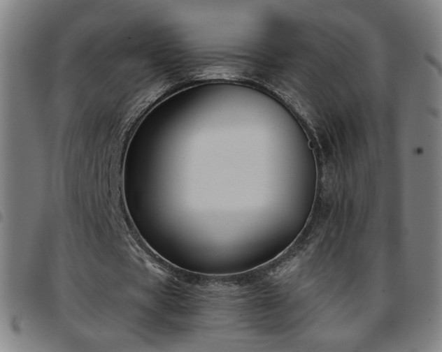 X0000097650529200803071511