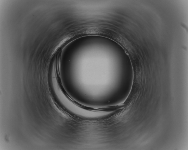 X0000097650530200803071511