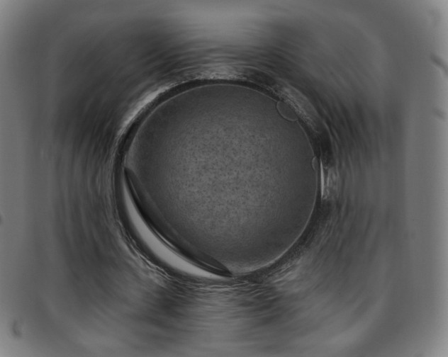 X0000097650531200803071511