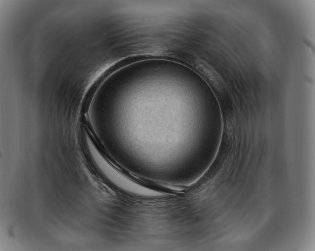 X0000097650532200803071511