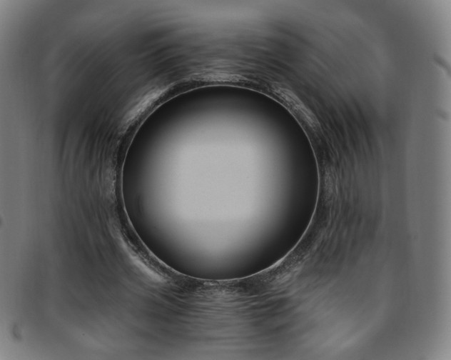 X0000097650533200803071511