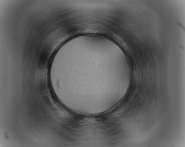 X0000097650534200803071511