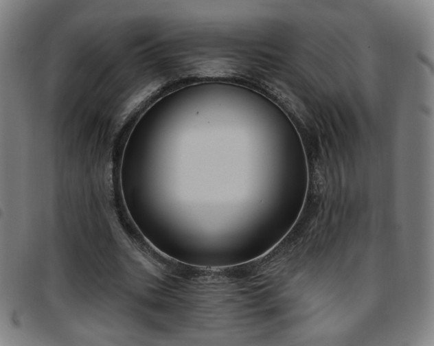 X0000097650535200803071511