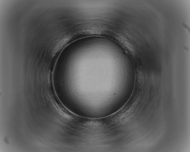 X0000097650537200803071511