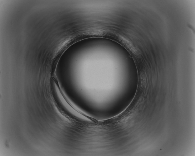 X0000097650538200803071511