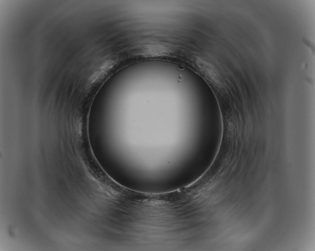 X0000097650539200803071511