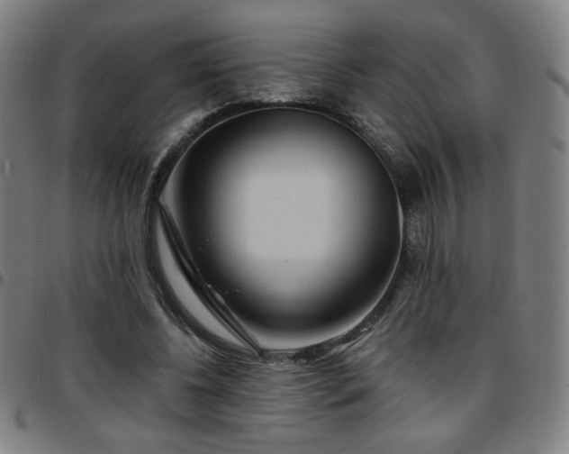 X0000097650540200803071511