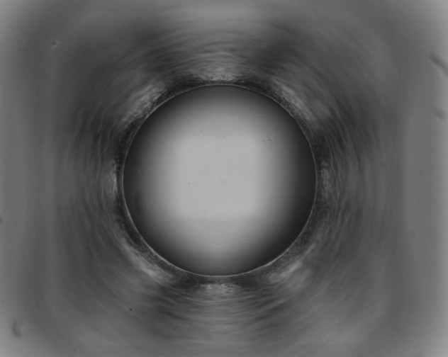 X0000097650541200803071511