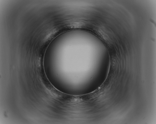 X0000097650543200803071511