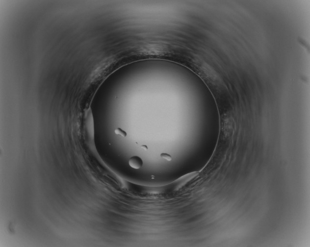 X0000097650544200803071511