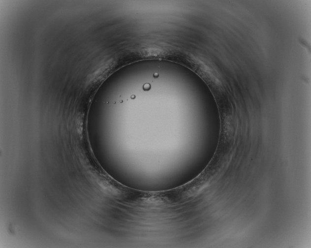 X0000097650545200803071511