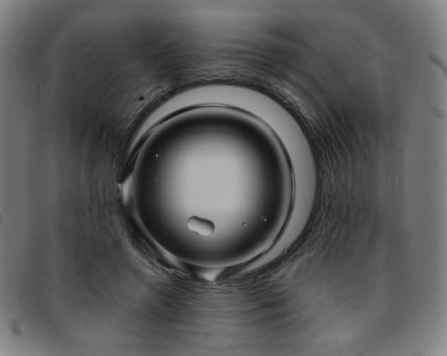 X0000097650546200803071511