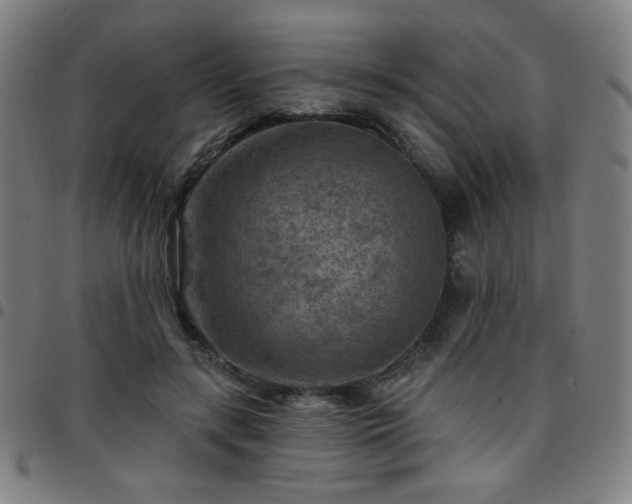 X0000097650547200803071511