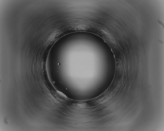 X0000097650548200803071511